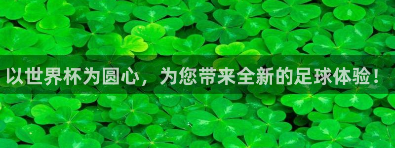 2026葡萄牙杯赛程表：以世界杯为圆心，为您带来全新的足球体验！