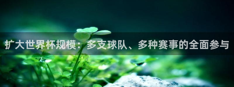 世界杯亚洲区预选赛赛程：扩大世界杯规模：多支球队、多种赛事的全面参与
