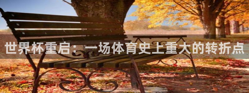 世界杯预选赛2026：世界杯重启：一场体育史上重大的转折点