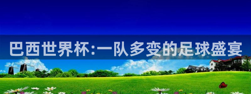 欧洲区世界杯预选赛：巴西世界杯:一队多变的足球盛宴