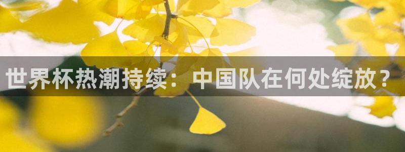 世界杯2026赛程时间表格：世界杯热潮持续：中国队在何处绽放？