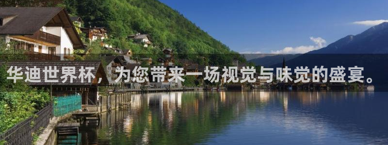 世界杯2026预选赛：华迪世界杯，为您带来一场视觉与味觉的盛宴。