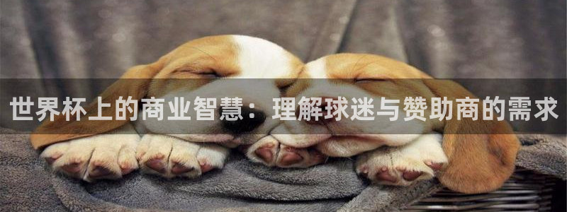 2026年世界杯：世界杯上的商业智慧：理解球迷与赞助商的需求