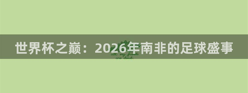 美国世界杯：世界杯之巅：2026年南非的足球盛事