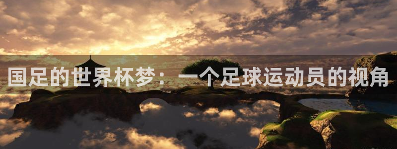 世界杯 直播：国足的世界杯梦：一个足球运动员的视角