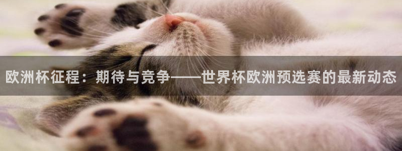 世界杯2026赛程：欧洲杯征程：期待与竞争——世界杯欧洲预选赛的最新动态
