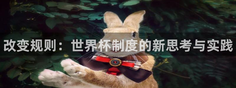 亚洲区世界杯预选赛：改变规则：世界杯制度的新思考与实践