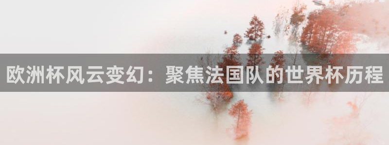 世界杯2026赛程：欧洲杯风云变幻：聚焦法国队的世界杯历程