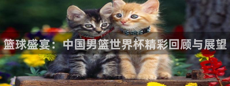 世预赛免费直播入口：篮球盛宴：中国男篮世界杯精彩回顾与展望